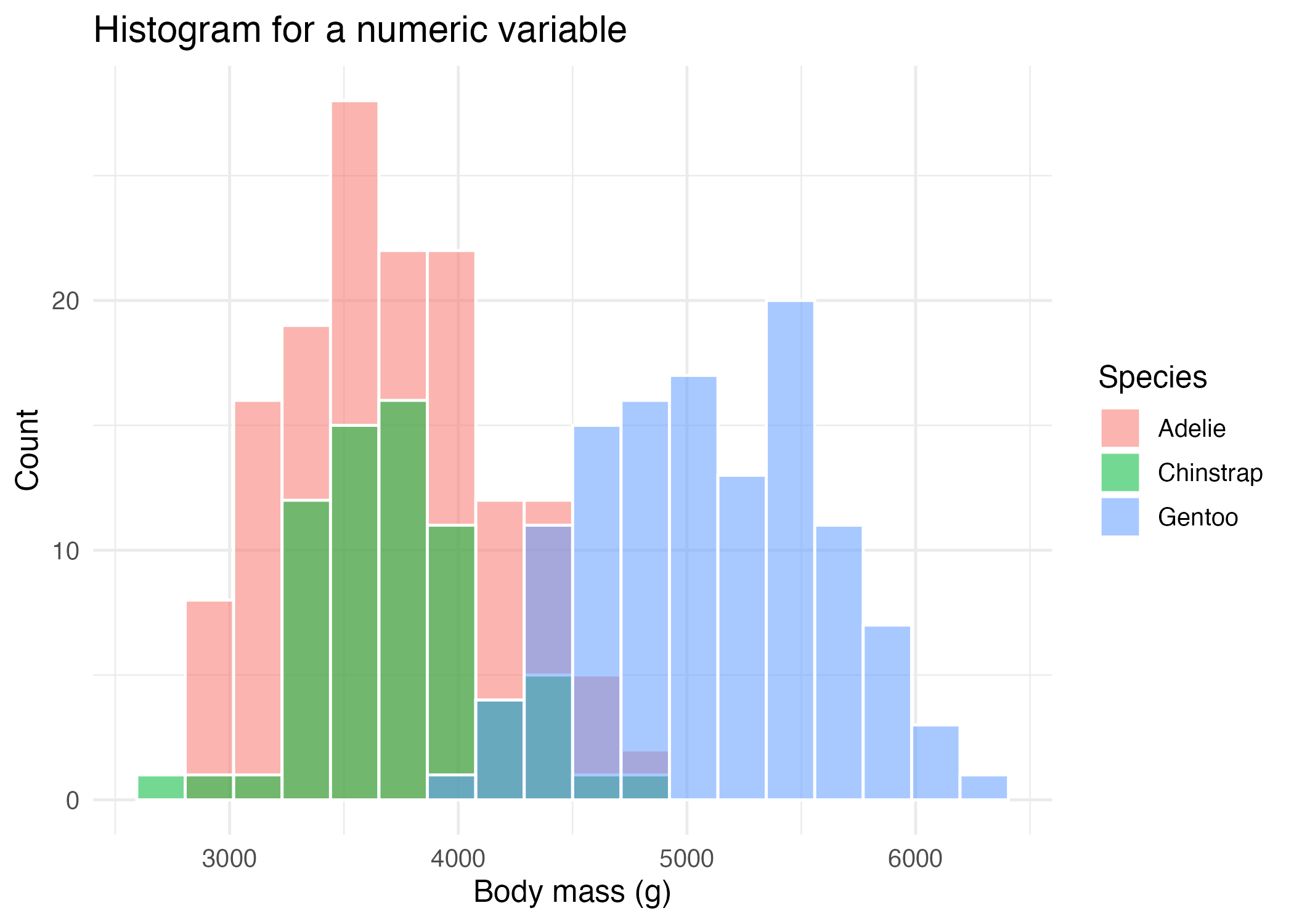 02-distribution-histogram.png